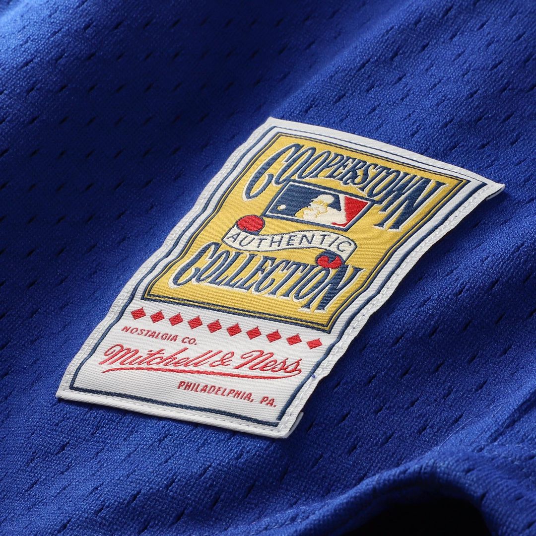Chicago Cubs Ryne Sandberg Cooperstown 1996 Mesh Batting Practice Button-Up Jersey — Royal